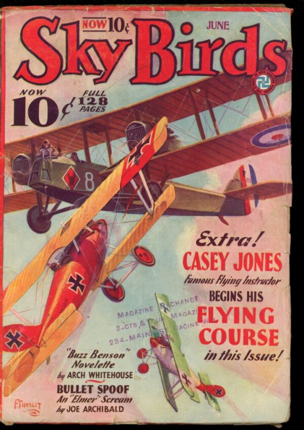 SKY BIRDS - 06/33 - Condition: G - Lead Author: T.W. Ford