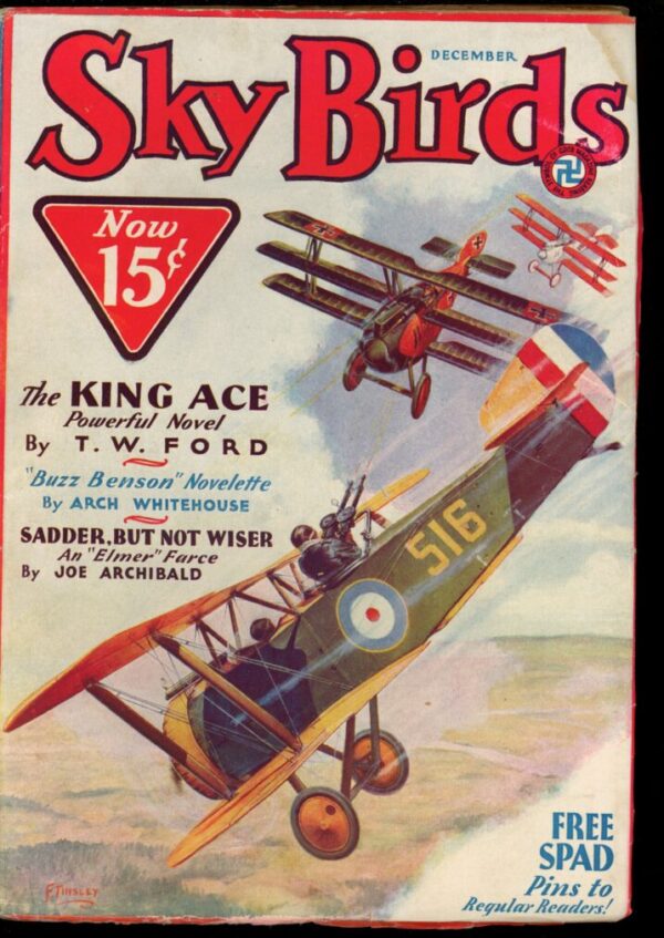 SKY BIRDS - 12/32 - Condition: VG-FN - Lead Author: T.W. Ford