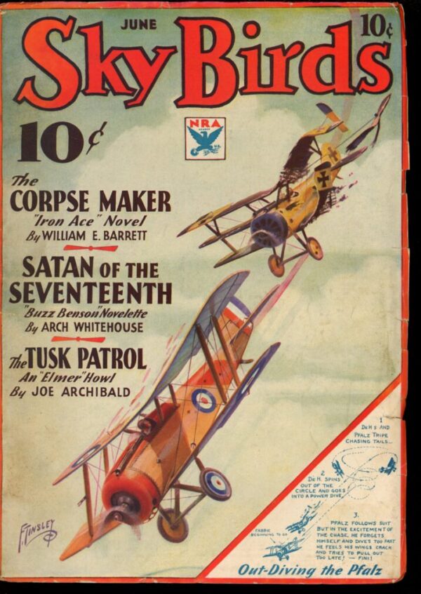 SKY BIRDS - 06/34 - Condition: VG - Lead Author: William E. Barrett