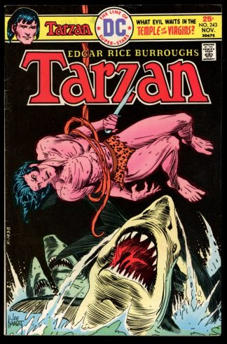 Tarzan - #243 - 11/75 - 6.0 - DC