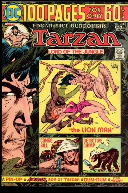 Tarzan - #234 - 12-01/74-75 - 6.0 - DC