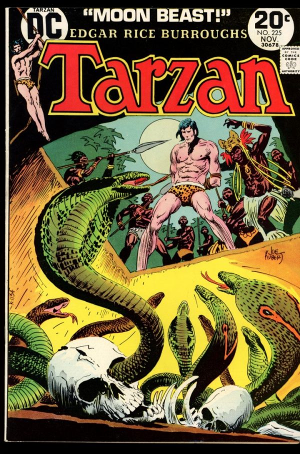 Tarzan - #225 - 11/73 - 7.0 - DC