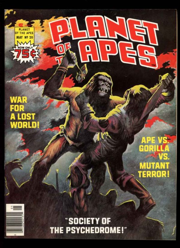 Planet Of The Apes - #20 - Condition: 8.0 - Marvel