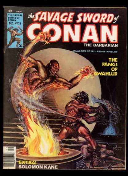 Savage Sword Of Conan - #25 - Condition: 8.0 - Marvel